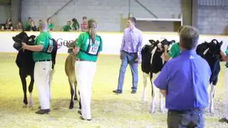 Grand Champion Showman EastGen Markham 2015 Melyssa Sargent