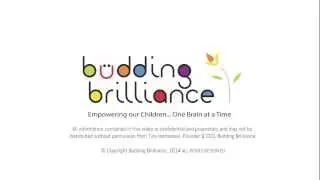 The Edge Learning Toy by Budding Brilliance