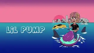 Lil Pump   2017