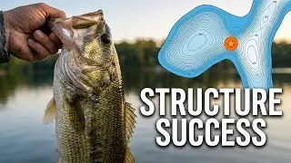 Lake Monticello South Carolina Bass Fishing Breakdown | Offshore Humps Points and Contours