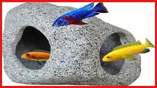 Quality product -  SpringSmart Aquarium Hideaway Rock Cave for Aquatic Pets to Breed, Play and Rest,