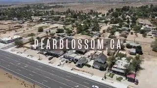 PEARBLOSSOM