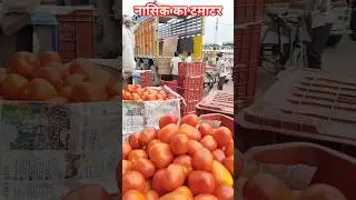Nasik ka tamatar 🍅 tamatar ka bhav 🍅 Barabanki Mandi ka bhav 🍅#shafeeqmohammad #tomato #tamatar
