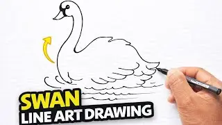Swan Line Art Drawing | Easy Step by Step Swan Drawing |
