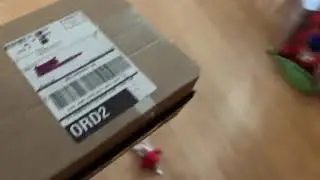 BarkBox Unboxing December 2020 (Peanuts themed)