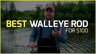 Best Walleye Rod for $100???
