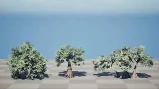Ancient Arabian Olive Tree Collection 3d animation with unreal engine