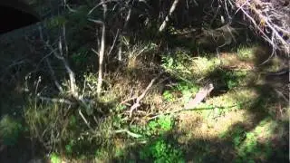 Tokai MTB Berm and Jump