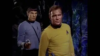 Star Trek: The Original Series - Kirk/Spock - King and Lionheart