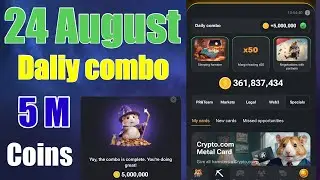 24 August hamster kombat ka daliy combo card videos || today hamster combo card hamster video