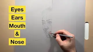 Drawing facial features in a portrait (Vitruvian Studio)