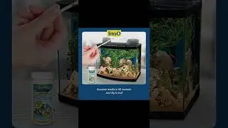Tetra EasyStrips 6-In-1 Aquarium Test Strips Overview
