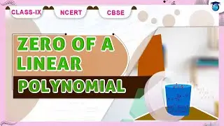 Polynomials | Zero of a Linear Polynomial #chapter2 #class9 #ncert