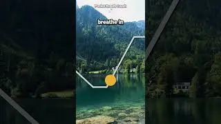 Breathing to Lower Heart Rate (4-2-8-2) #breathingexercises #breathing #relaxing