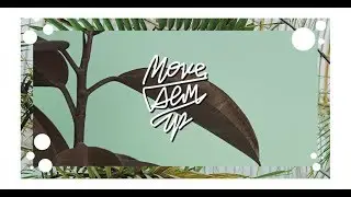Emilia Piotrowska - MDU VOL.4 (DHQ Style QUALIFERS)