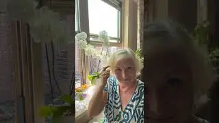 ТАРО прогноз. ТЕЛЕЦ. 18-24 Августа 2025. TAROT forecast - Taurus. 18-24 August 2025.
