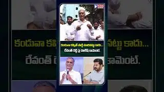 Harish Rao Sensational Comments on Revanth Reddy | Telangana View | #brsvscongress #shortsyoutube
