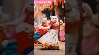 cat dance in traditional dress 🥻#shorts #ytshorts #shortsfeed #catlovers #cat #cutecat #dancingcat