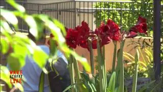 Wave Street Studios - Patio Vibes