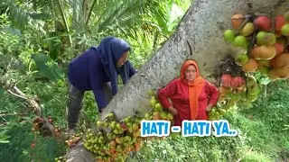 Emak Enah Bikin Rujak Buah Loa  | ENAH BIKIN ENAK (09/05/22) Part 2