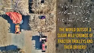Visit to Sugar Mill - Importance of sugar cane Industry in Pakistan