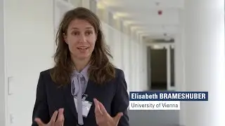 Impact of the EU Directive on Adequate Minimum Wages on Member State auxiliary legislation