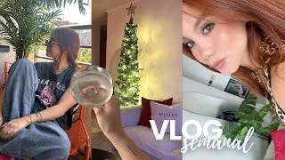 Mi primer tatuaje, decoración navideña y Vlogmas??