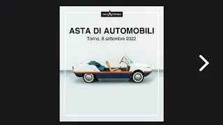 209^ Asta Sant'Agostino - Automobili