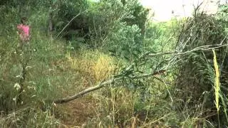 הדרך לשם ובחזרה