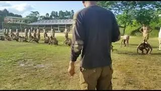 21 AP (IR) BN Hailakandi, Assam Police Training.