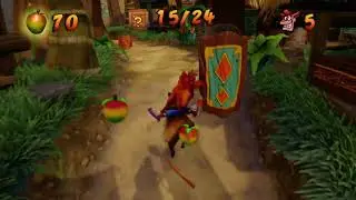 Crash Bandicoot N. Sane Trilogy_ The Wumpa island HOG WILD  Allboxes GEM