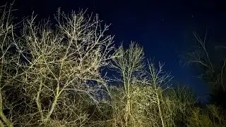 Coventina 💚 video 2 #reading plus #thoughts Thurs 1-9 ￼#authorreading #morningthoughts #bookreading