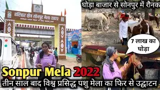 Sonpur Mela 2022 | Sonpur Mela Tour | Horse Market, Wood Market, Dog Market