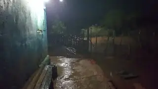 Chuva ontem a noite 🌧️/ Sítio Mamoeiro Verdejante PE/ 17/01/ 2026.
