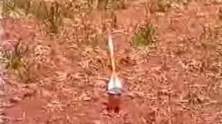 Rockets from beer!