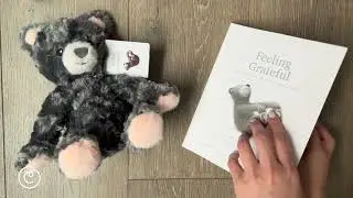 A Cuddly Stuffed Bear Plush &ndash; A Companion to the book Feeling Grateful