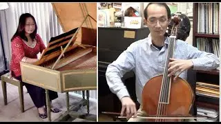 The Splendours of Italian & German Baroque Music by Concerto da Camera: Violoncello piccolo