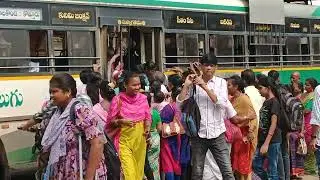 Free bus affect... AP
