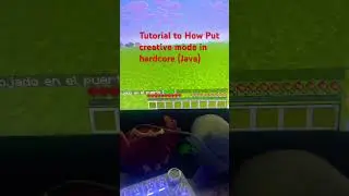 Tutorial to Put creative mode in minecraft hardcore (only on Java)