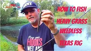 How to Weightless Texas Rig Bass Fishing In Heavy Grass