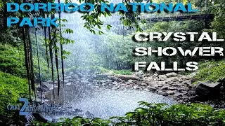 Dorrigo National Park- Crystal Shower Falls 2020