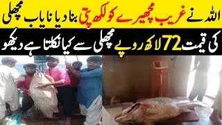 World Expensive Fish Caught At Gwadar Port Balochistan