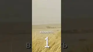 Когда кит взорвался &mdash; реальный случай из 1835 года!