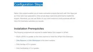 RPA-UIPATH -Native Citrix