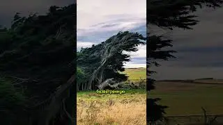 Amazing adaptation.