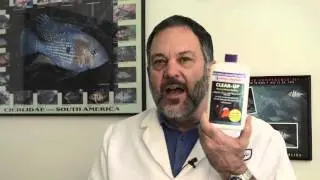 DrTim's Aquatics    ClearUp  An Introduction