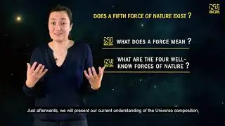 New JEDI project : introduction to Dark Sectors theory and Dark Boson concept
