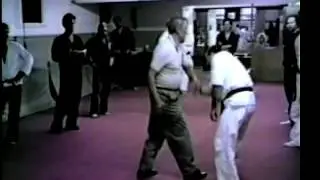 Jimmy H Woo Kung Fu San Soo Lesson 5