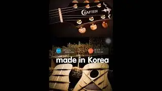 *面單VS全單板全結他*Crafter Guitar Hong Kong , Srp T-36ce rosewood玫瑰木木結他 vs Stg,-20ce ebony