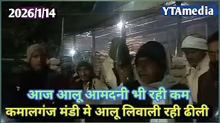 कमालगंज आलू मंडी मे लिवाली रही ढीली | आलू आमदनी भी रही कम | आज का आलू भाव | today potato price |